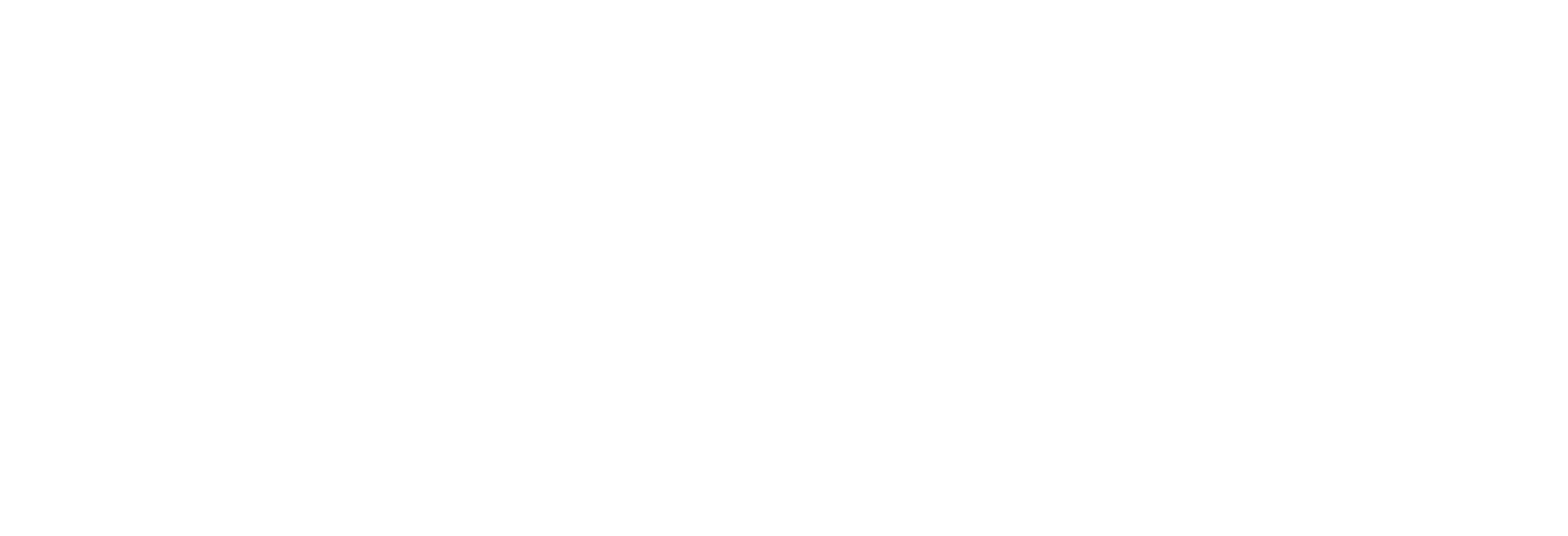 Copy of New logo 2021 white-1